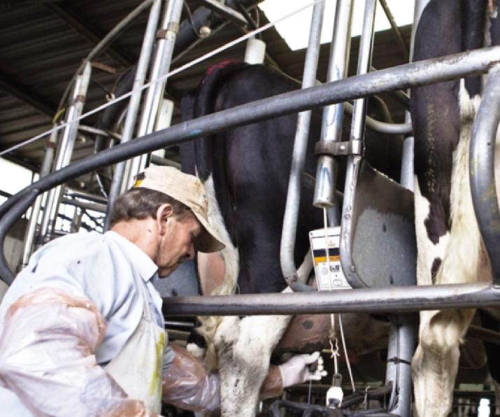 estudios, calidad, tambos, INTI