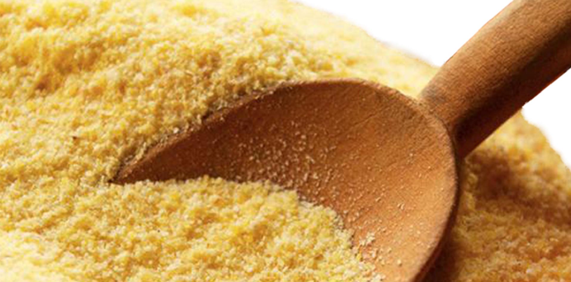 mandioca INTI Misiones NEA regional zaranda producción industrial