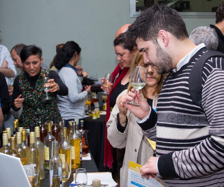 Hidromiel, INTI, sector apícola, prueba de productos