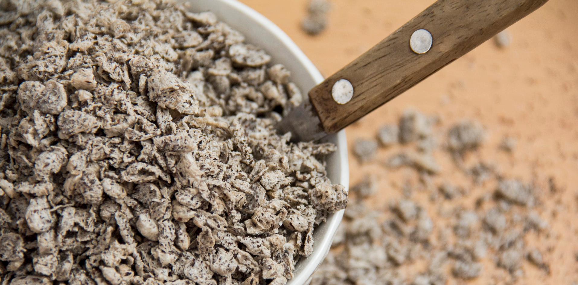 trigo sarraceno nacional agro campo producción celíacos INTI