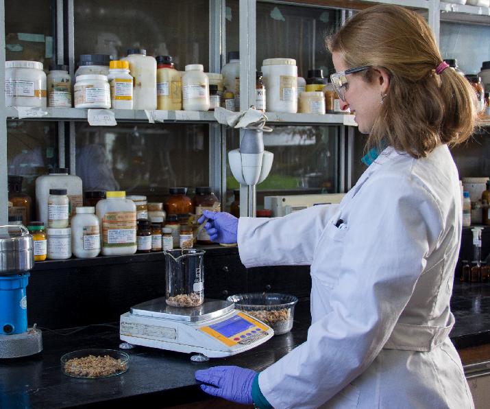 red de seguridad alimentaria conicet inti políticas públicas