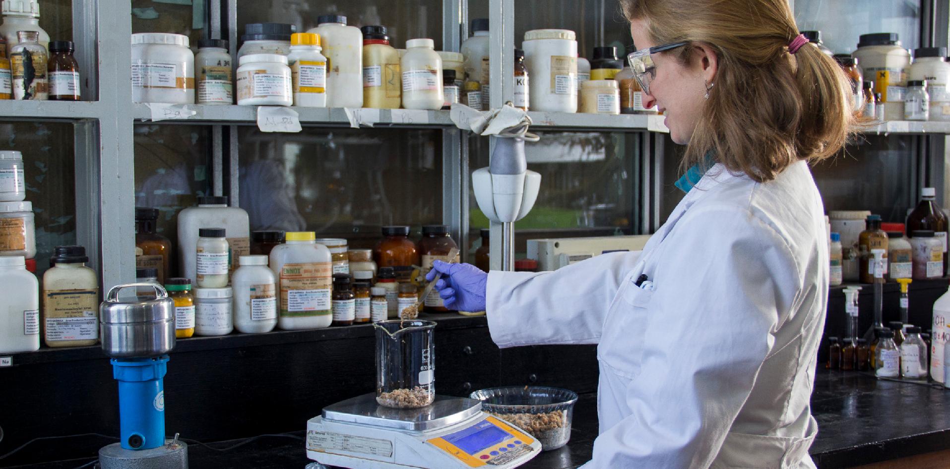 red de seguridad alimentaria conicet inti políticas públicas