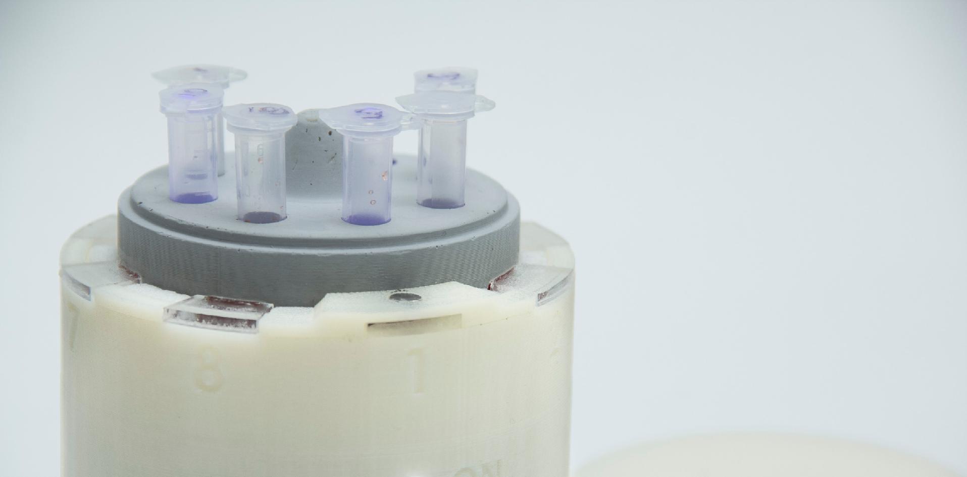 Dispositivo portátil que permite detectar enfermedades infecciosas in situ conjuntivitis brucelosis biosensor INTI