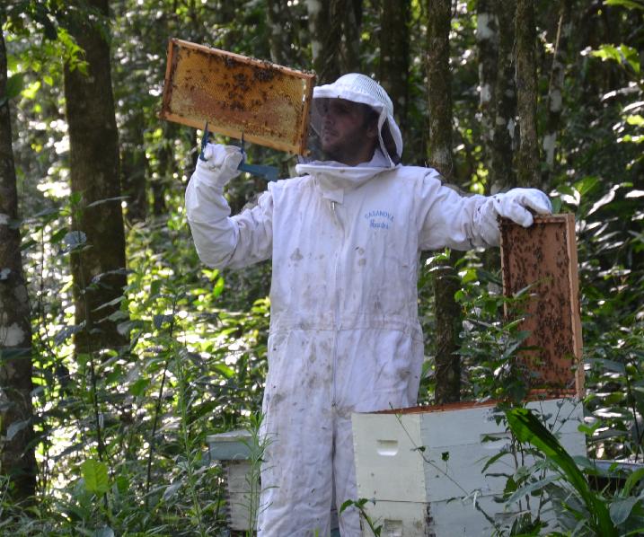 Apitec, Cluster Apícola de la provincia de Misiones; INTI Misiones