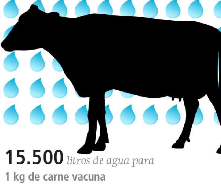 huella hidrica, industria, carnes