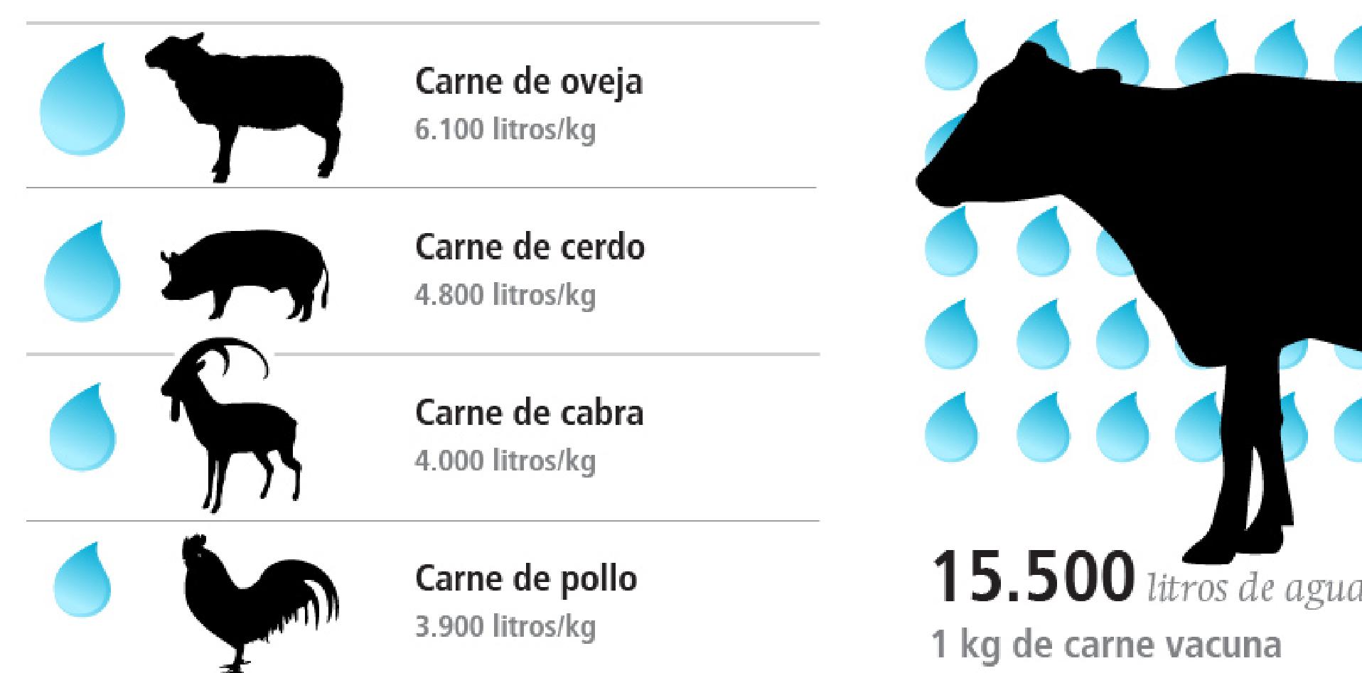 huella hidrica, industria, carnes