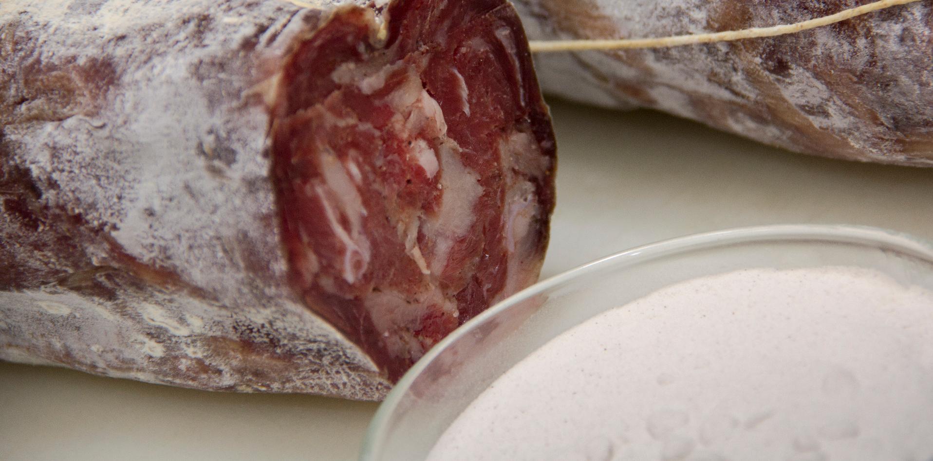 pegamento comestible, enzima, carnes, chacinados,