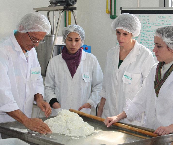 quesos hilados, productividad, capacitación, productores