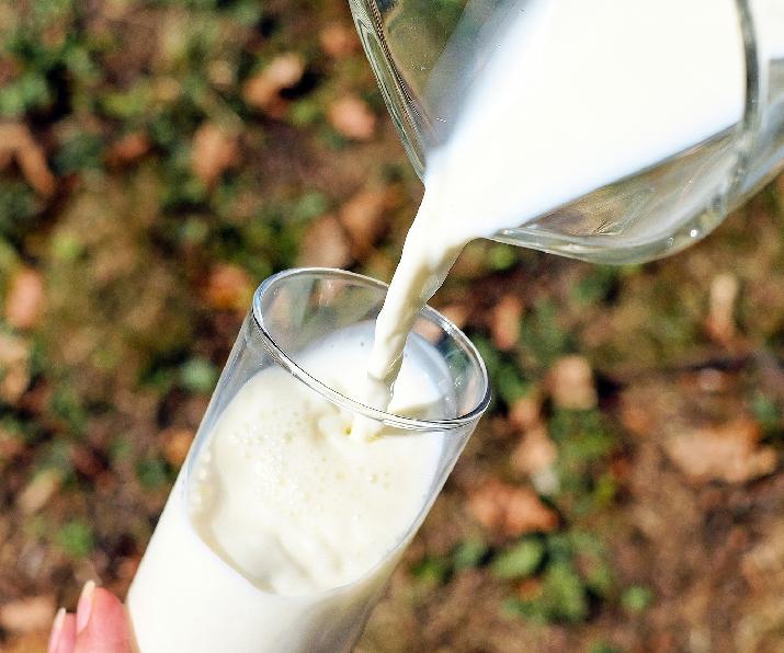 jornada, actualización, nutrición, día mundial de la leche