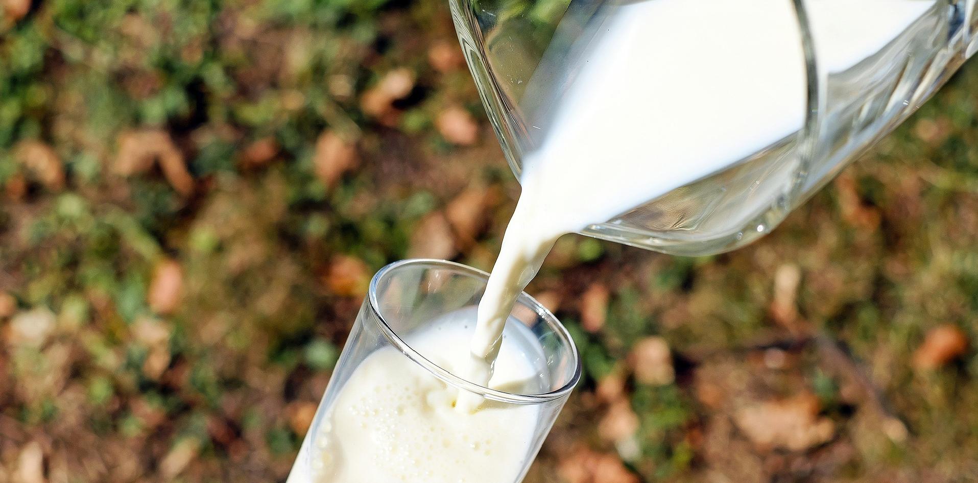 jornada, actualización, nutrición, día mundial de la leche