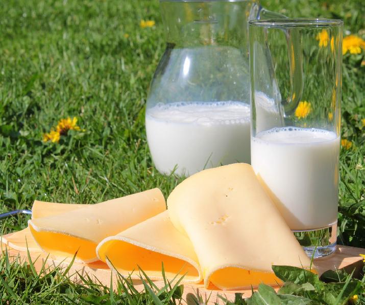 folletos informativos, mitos y verdades, leche