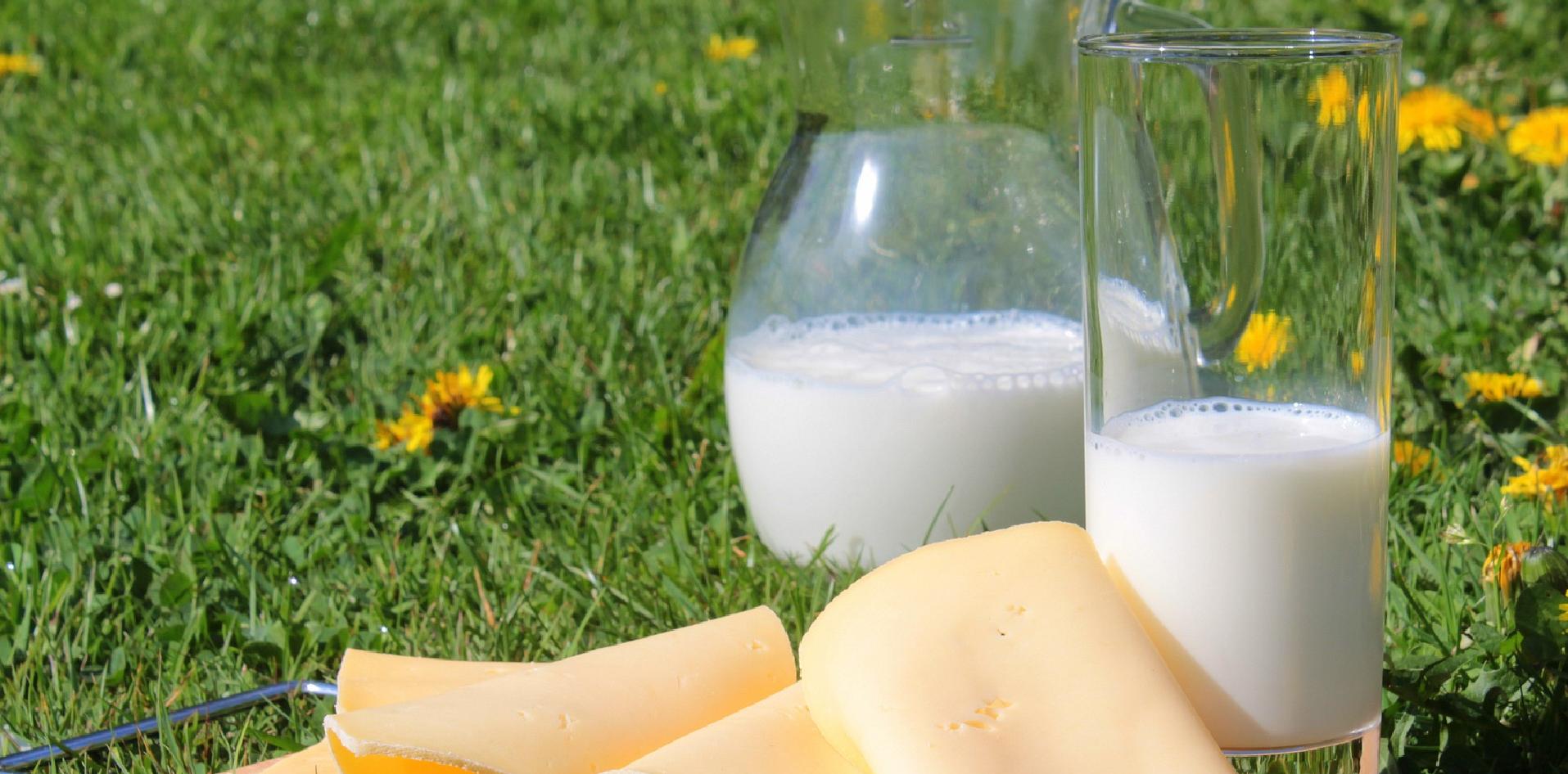 folletos informativos, mitos y verdades, leche