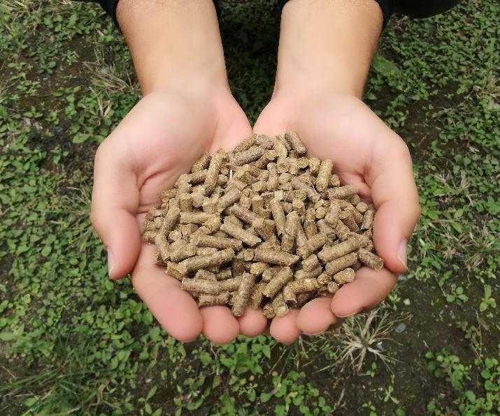 pellets caña de azúcar INTI residuos combustible sustentable energía