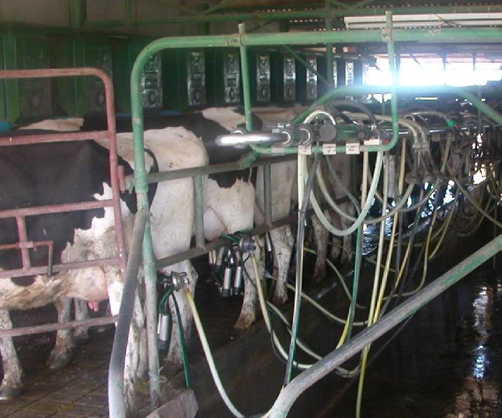 análisis, minerales, tambos, NOA