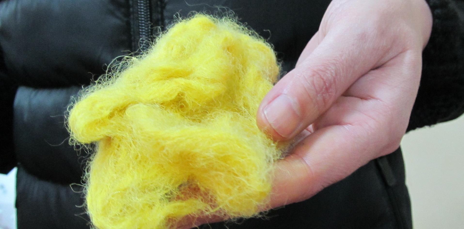 INTI, asistencia, textil, tintes naturales.