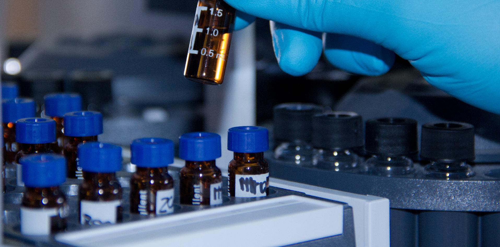 Reingreso, Argentina, Federación Internacional Lechería