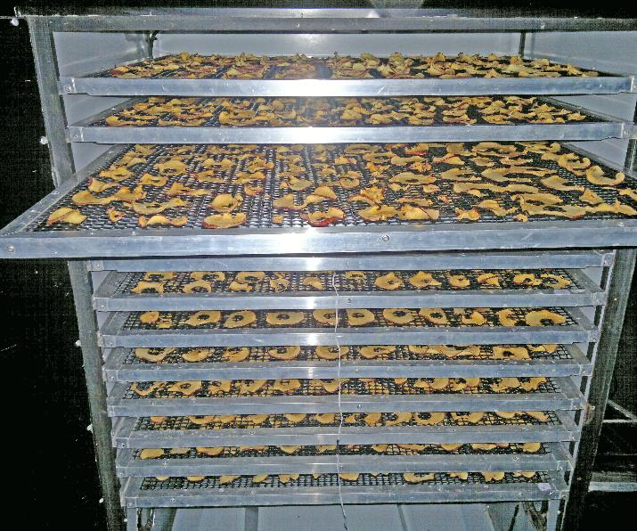 INTI, deshidratador, frutas, hortalizas