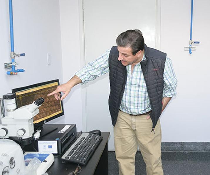 Fibra de Algodón;  INTI-Chaco