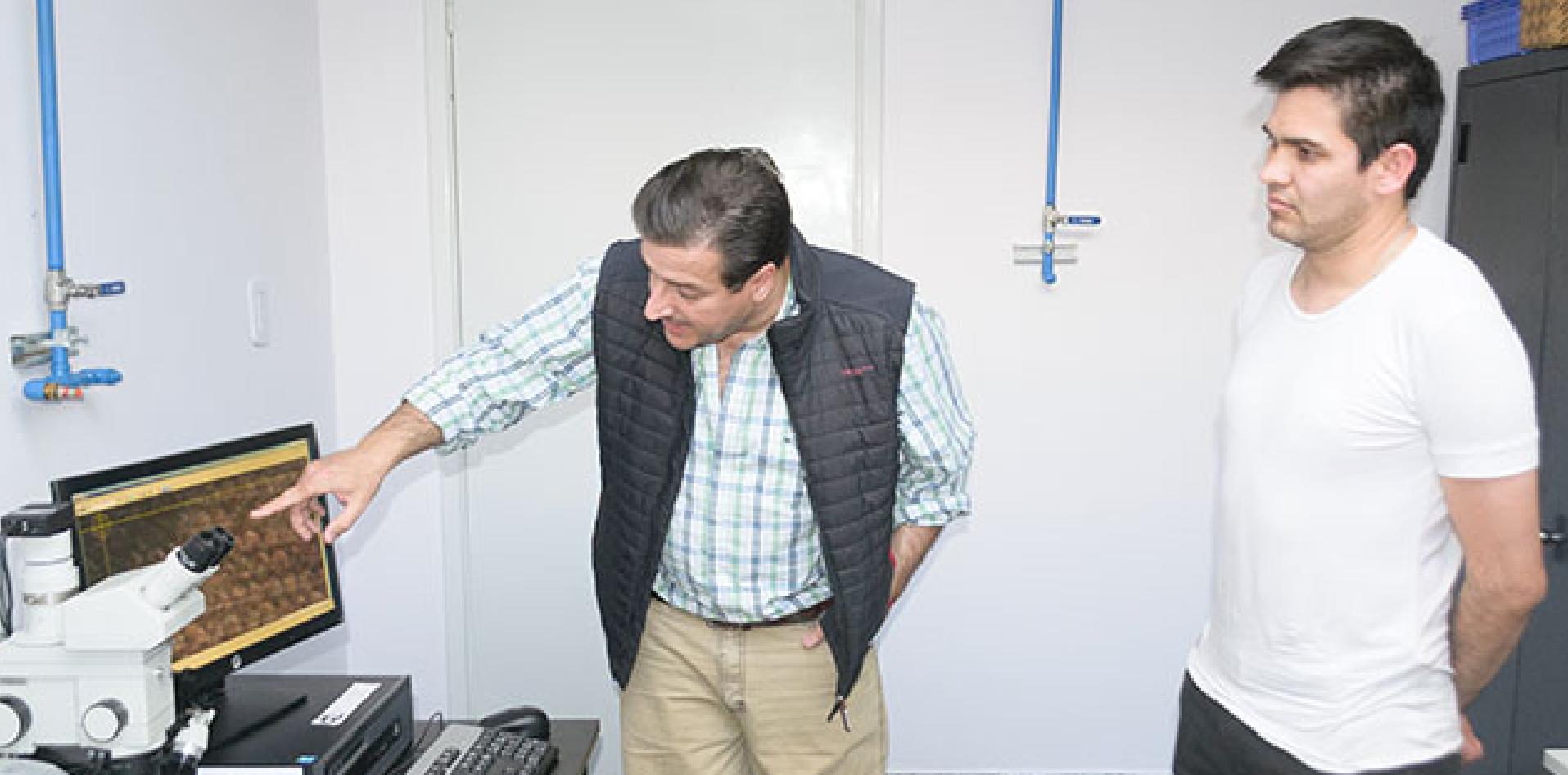 Fibra de Algodón;  INTI-Chaco