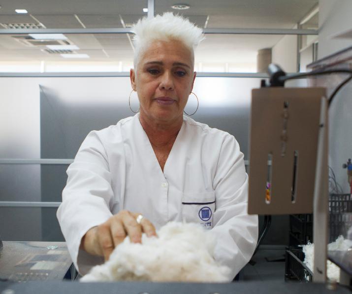 laboratorio algodón INTI NOA producción argentina algodonera sector