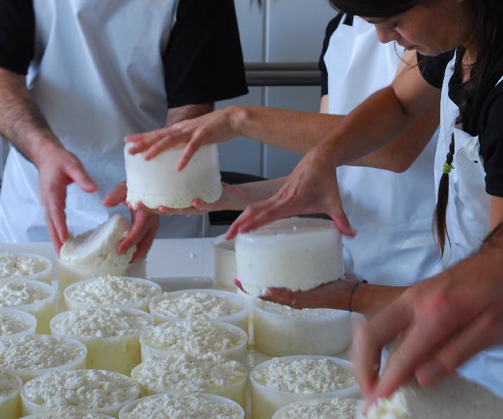 ovino queso asistencia INTI