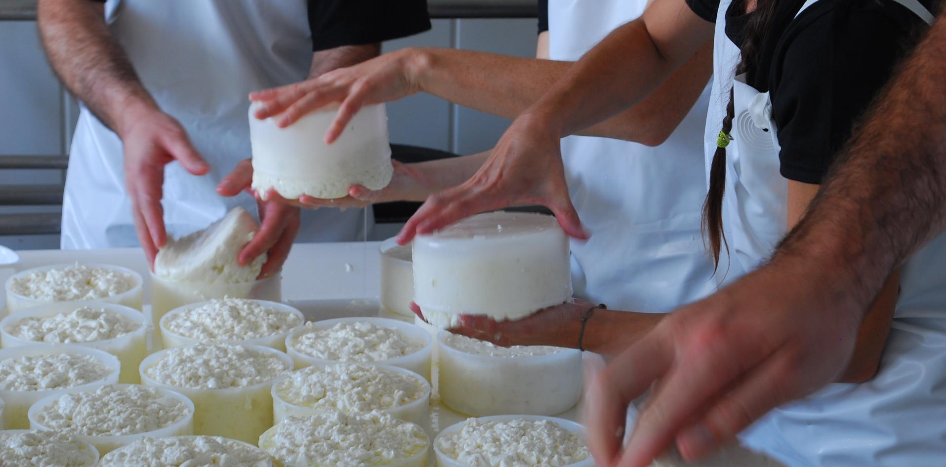 ovino queso asistencia INTI