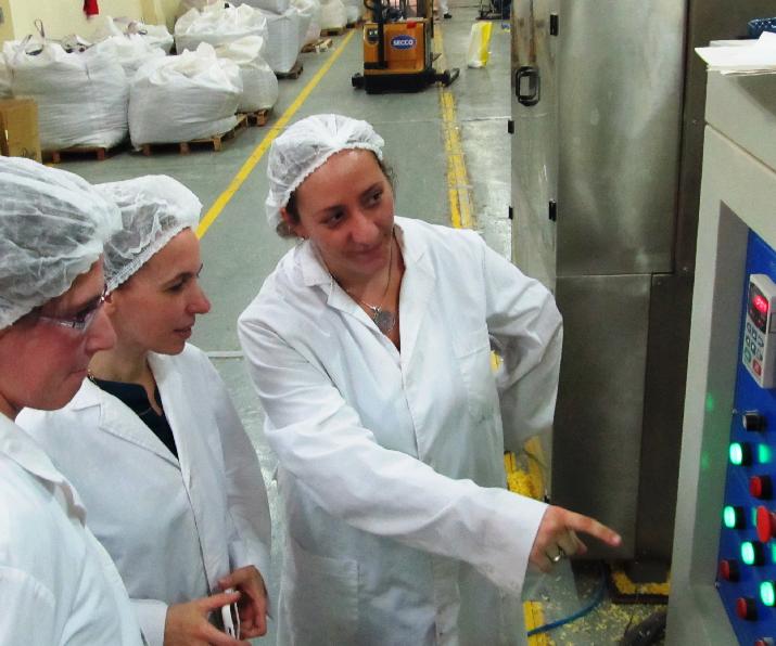 capacitación, empresas, individuo calificado, exportación, EE.UU