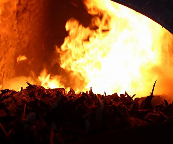 exportación, secado, yerba mate, mejora de procesos